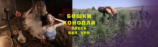 ПСИЛОЦИБИНОВЫЕ ГРИБЫ Алексеевка