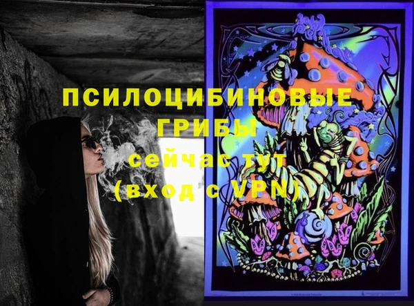 экстази Алексин
