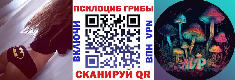 ссылка на мегу маркетплейс  Нижнеудинск  Галлюциногенные грибы Cubensis 