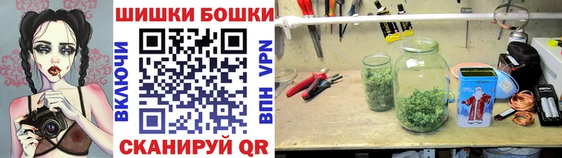 хочу   Нижнеудинск  Бошки марихуана конопля 